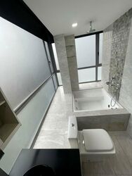 Angullia Park Residences @ Orchard (D10), Apartment #566142001